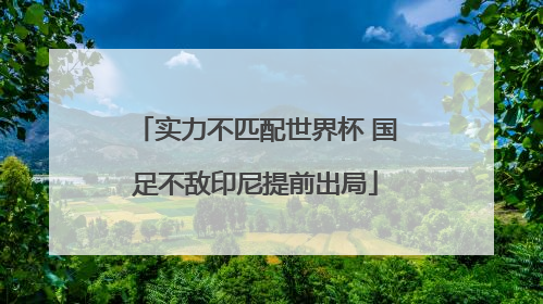 实力不匹配世界杯 国足不敌印尼提前出局