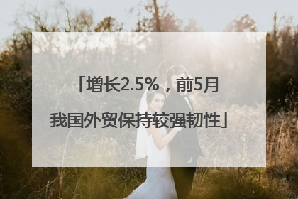 增长2.5%，前5月我国外贸保持较强韧性