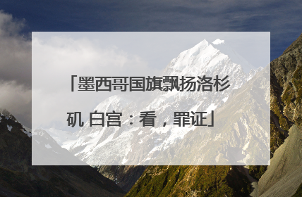 墨西哥国旗飘扬洛杉矶 白宫：看，罪证