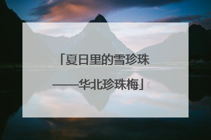 夏日里的雪珍珠——华北珍珠梅