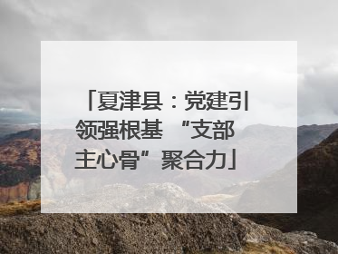 夏津县：党建引领强根基 “支部主心骨”聚合力