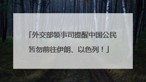 外交部领事司提醒中国公民暂勿前往伊朗、以色列！