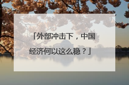 外部冲击下，中国经济何以这么稳？