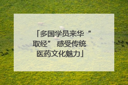 多国学员来华“取经” 感受传统医药文化魅力