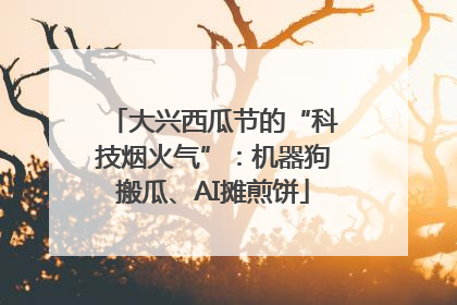 大兴西瓜节的“科技烟火气”：机器狗搬瓜、AI摊煎饼
