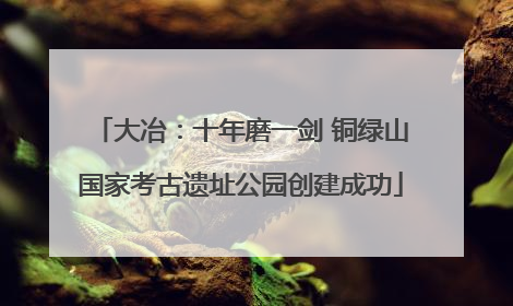 大冶：十年磨一剑 铜绿山国家考古遗址公园创建成功
