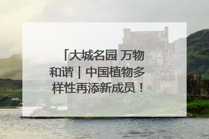 大城名园 万物和谐｜中国植物多样性再添新成员！它只在西藏墨脱