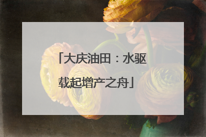 大庆油田：水驱载起增产之舟