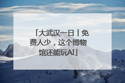 大武汉一日丨免费人少，这个博物馆还能玩AI