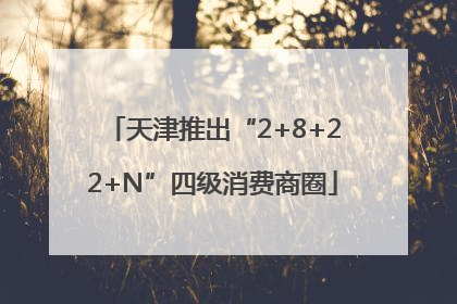 天津推出“2+8+22+N”四级消费商圈