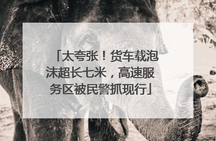 太夸张！货车载泡沫超长七米，高速服务区被民警抓现行