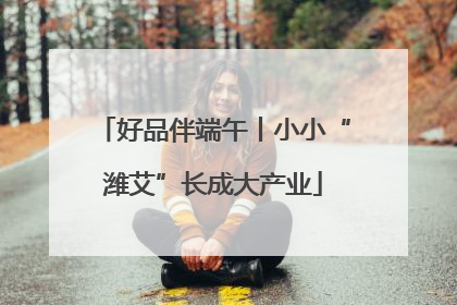 好品伴端午丨小小“潍艾”长成大产业