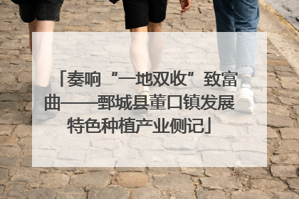 奏响“一地双收”致富曲——鄄城县董口镇发展特色种植产业侧记
