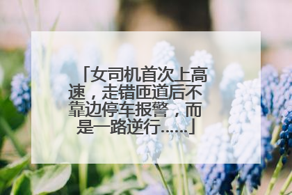 女司机首次上高速，走错匝道后不靠边停车报警，而是一路逆行……