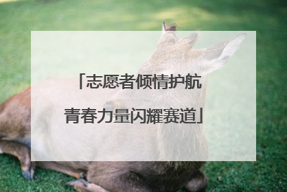 志愿者倾情护航 青春力量闪耀赛道