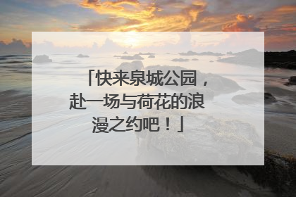 快来泉城公园，赴一场与荷花的浪漫之约吧！