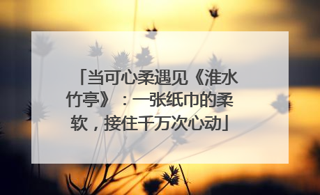 当可心柔遇见《淮水竹亭》：一张纸巾的柔软，接住千万次心动
