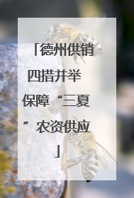 德州供销四措并举 保障“三夏”农资供应