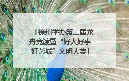 徐州举办第三届龙舟竞渡暨“好人好事好彭城”文明大集