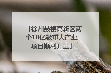 徐州鼓楼高新区两个10亿级重大产业项目顺利开工
