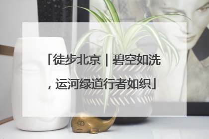 徒步北京｜碧空如洗，运河绿道行者如织