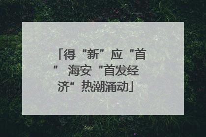 得“新”应“首” 海安“首发经济”热潮涌动