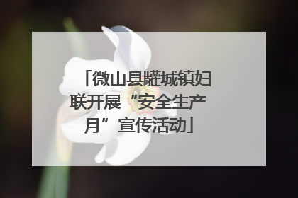 微山县驩城镇妇联开展“安全生产月”宣传活动