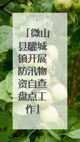 微山县驩城镇开展防汛物资自查盘点工作
