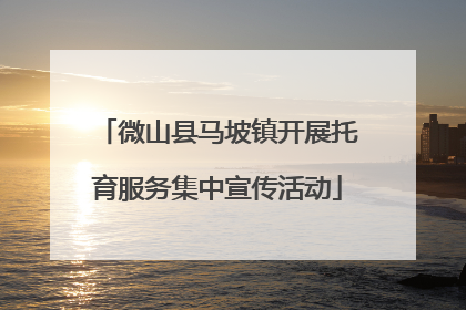 微山县马坡镇开展托育服务集中宣传活动