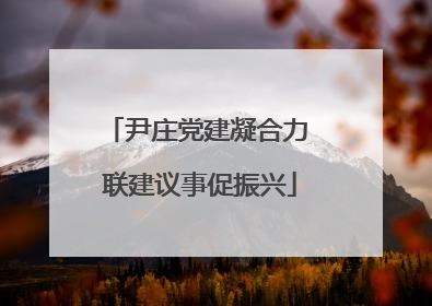 尹庄党建凝合力 联建议事促振兴