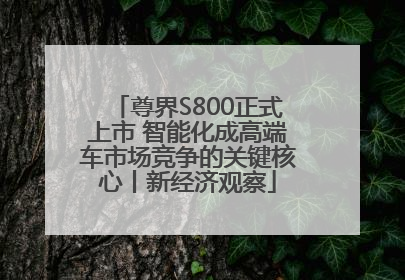 尊界S800正式上市 智能化成高端车市场竞争的关键核心丨新经济观察