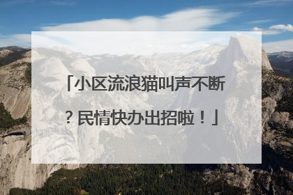 小区流浪猫叫声不断？民情快办出招啦！