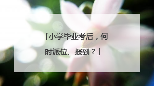 小学毕业考后，何时派位、报到？