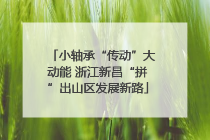 小轴承“传动”大动能 浙江新昌“拼”出山区发展新路