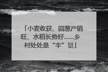 小麦收获、圆葱产销旺、水稻长势好……乡村处处是“丰”景