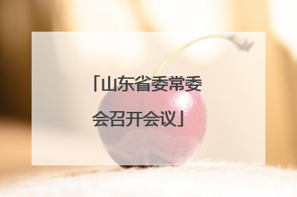 山东省委常委会召开会议