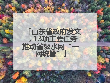 山东省政府发文，13项主要任务推动省级水网“一网统管”