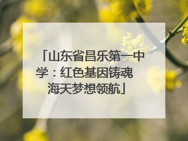 山东省昌乐第一中学：红色基因铸魂 海天梦想领航