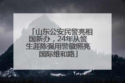 山东公安民警亮相国新办，24年从警生涯陈强用警徽照亮国际维和路