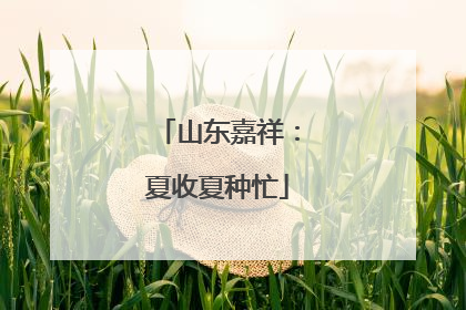 山东嘉祥：夏收夏种忙