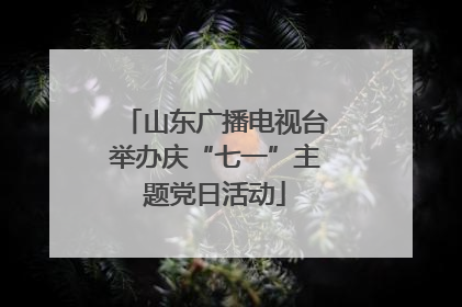 山东广播电视台举办庆“七一”主题党日活动