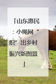 山东惠民：小绳网“织”出乡村振兴新图景