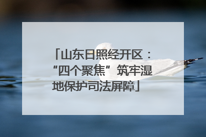 山东日照经开区：“四个聚焦”筑牢湿地保护司法屏障