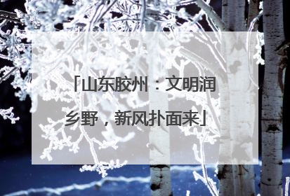 山东胶州：文明润乡野，新风扑面来