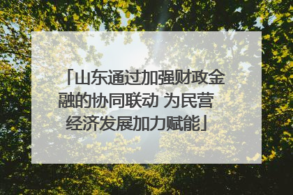 山东通过加强财政金融的协同联动 为民营经济发展加力赋能