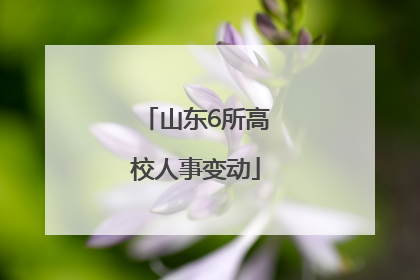 山东6所高校人事变动