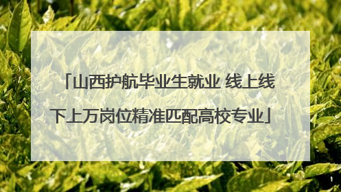 山西护航毕业生就业 线上线下上万岗位精准匹配高校专业