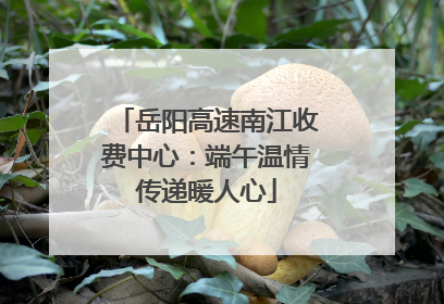 岳阳高速南江收费中心：端午温情传递暖人心