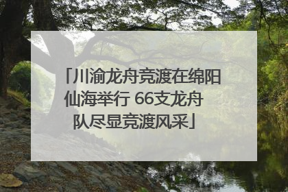 川渝龙舟竞渡在绵阳仙海举行 66支龙舟队尽显竞渡风采