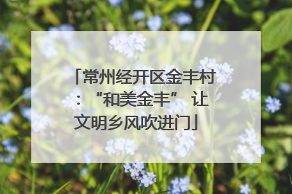 常州经开区金丰村：“和美金丰” 让文明乡风吹进门